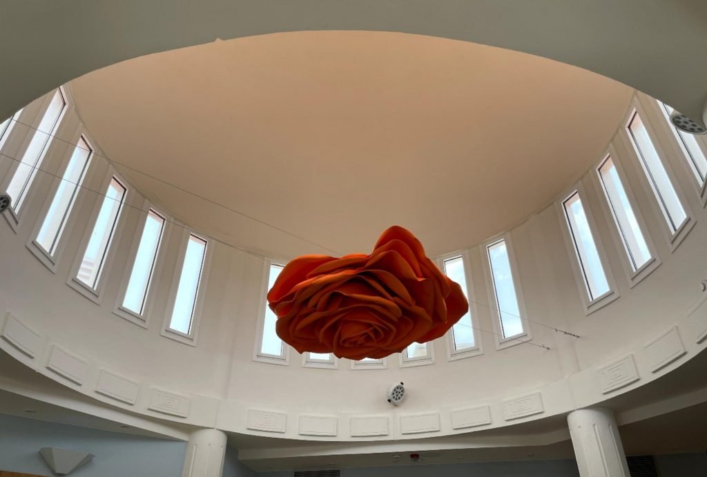 ROsa-gigante-1024x691