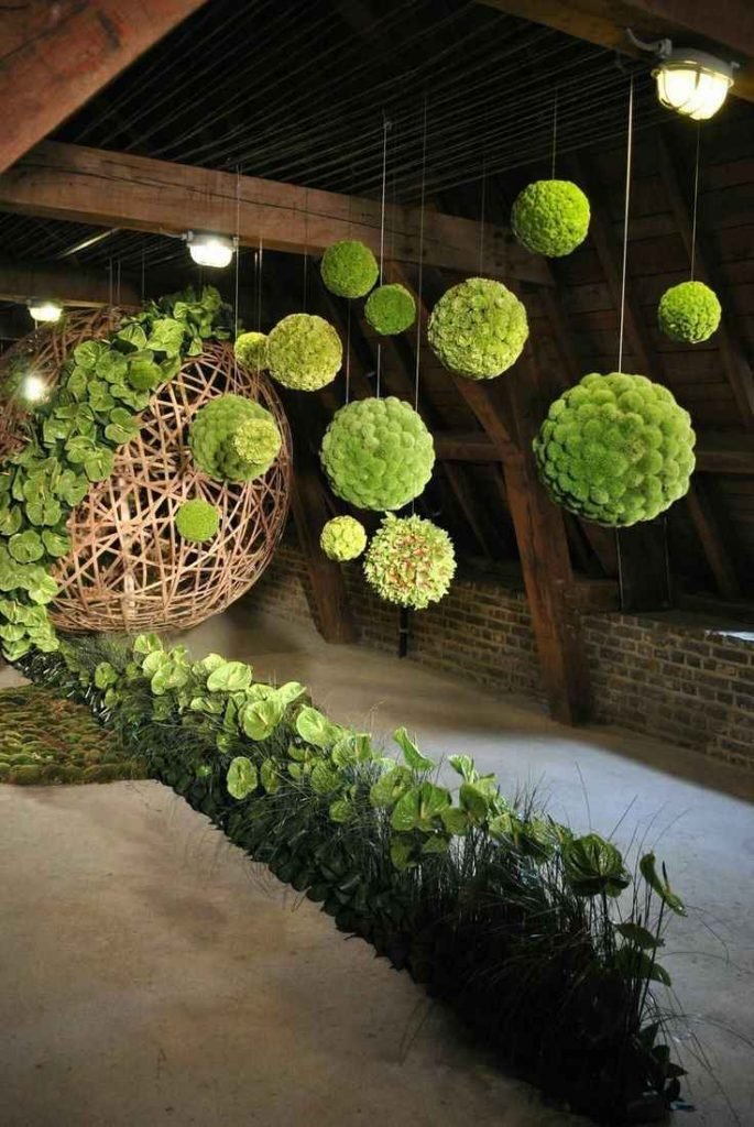 solo-verde-685x1024